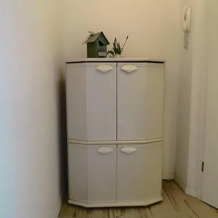 Sweet Peppermint View Split