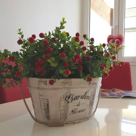 Sweet Peppermint View Appartamento Spalato