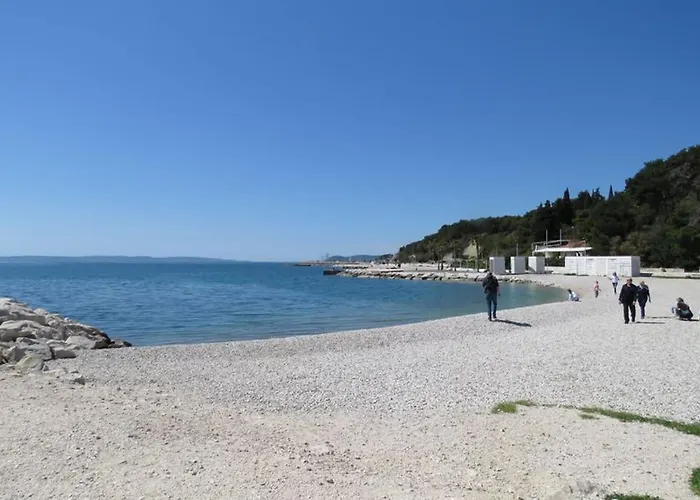 Sweet Peppermint View Split