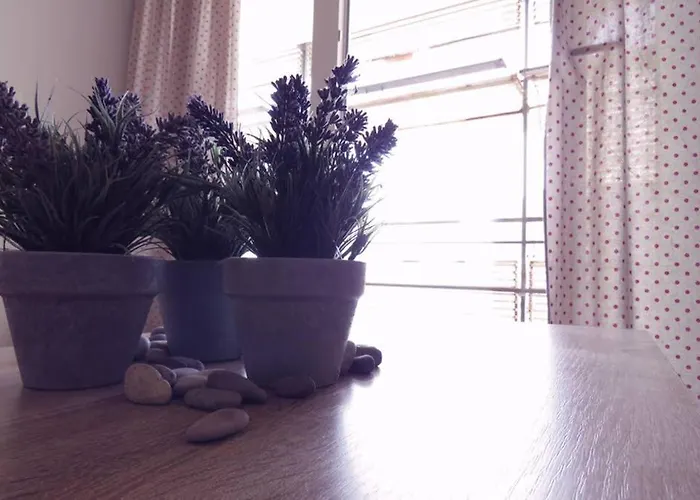 Sweet Peppermint View * Split