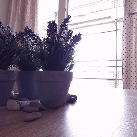 Sweet Peppermint View * Сплит